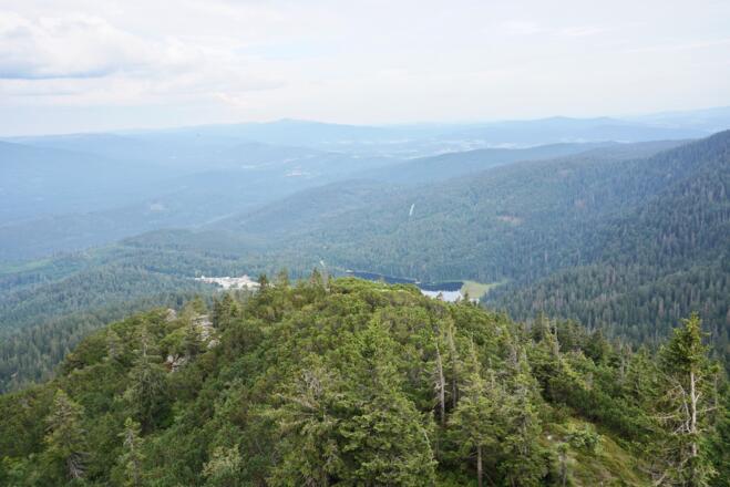 Blick vom Seeriegel zum Großen Arbersee