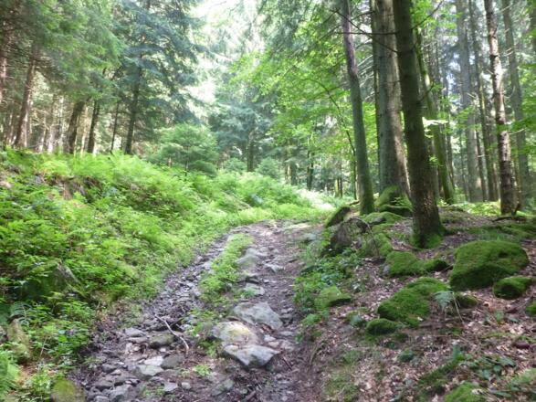 Aufstieg von Redlmühle nach Kolmberg