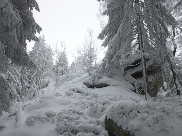 Hanichelriegel (978 m)