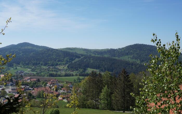 Ausblick vom Ortsrand Bodenmais zum Harlachberg