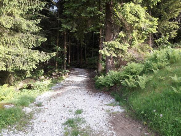 Wanderweg Nr. 18 am Waldrand in Hohenried