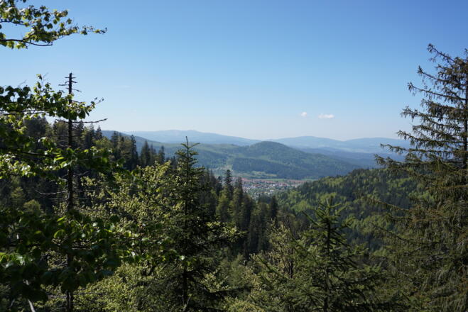 Aussicht von der Schweiklruhe zum Harlachberg und dahinter Geiskopf/Einödriegel, Vogelsang sowie Rauher Kulm