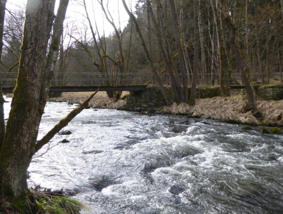 Steg über die Teisnach