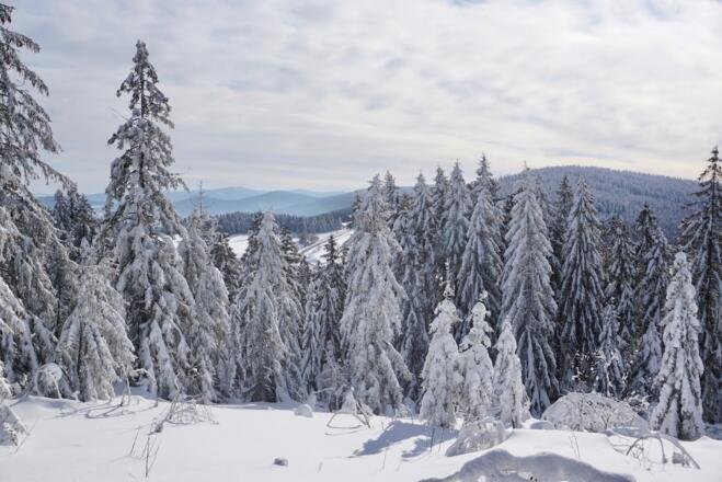 Ausblick von der Käsplatte nach Süden zum Einödriegel und Pröller