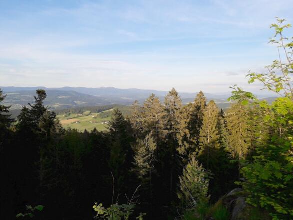 Aussicht vom Kastenstein