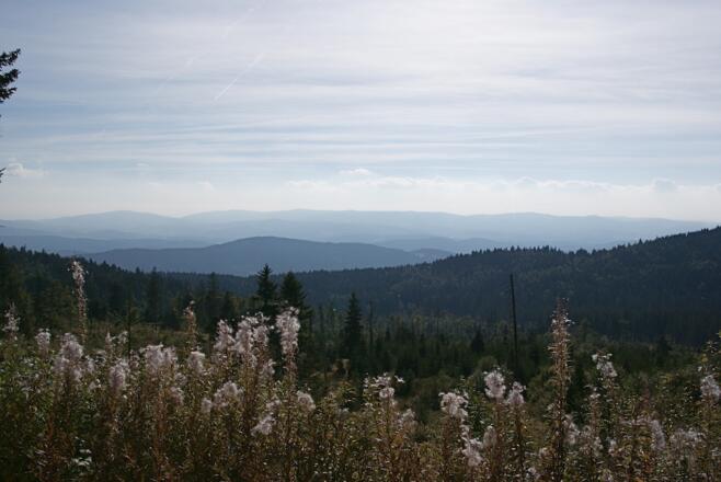 Ausblick zum Vorderen Bayer. Wald von der Straße unterm Kleinen Arber