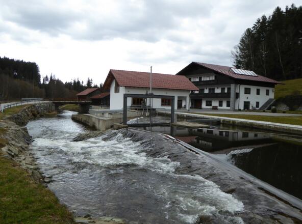 Die Teisnach bei der Neumühle