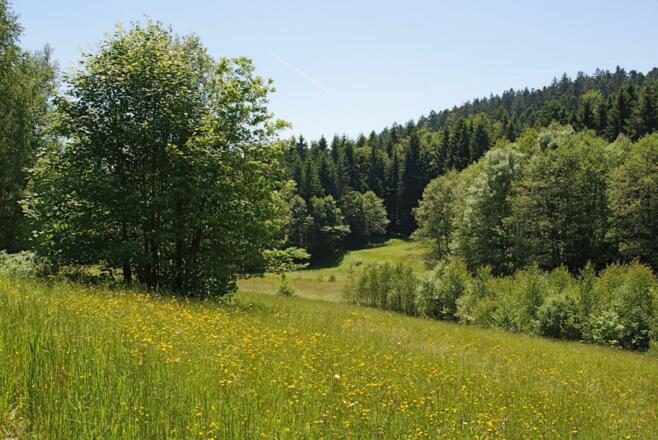 Bachlandschaft bei Grünmühl