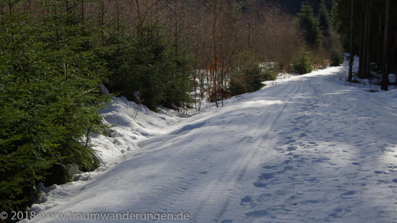 Reste der Loipe nach Mais