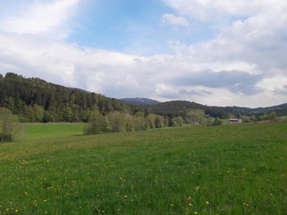 Blick bei Unterholzen zur Käsplatte