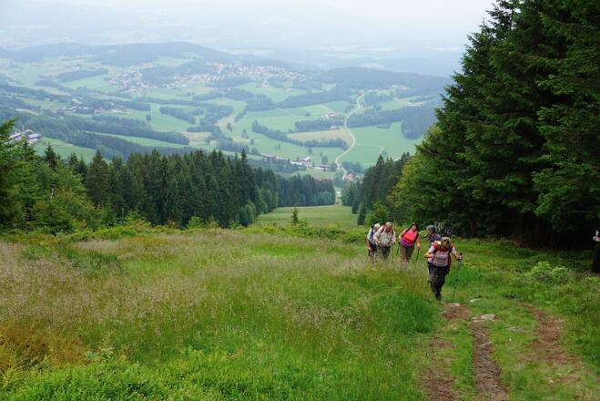 Prölleranstieg vor dem Gipfel mit Blick nach Kollnburg