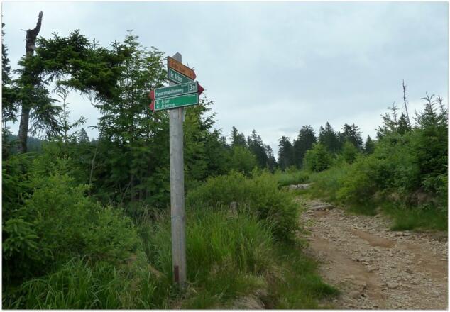 Panoramhöhenweg zur Chamer Hütte