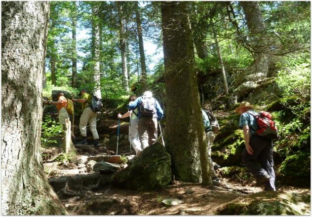Anstieg nach den Riesloch-Wasserfällen
