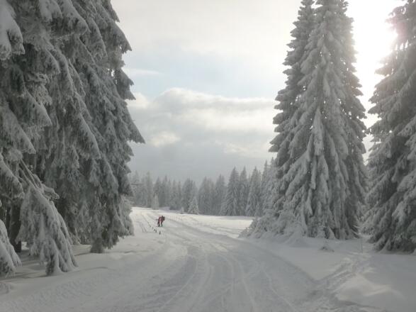 Buchhüttenschachten bergab