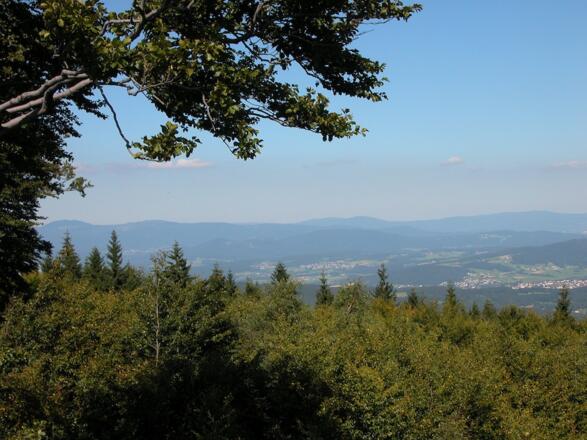 Hirschenstein-Fernsicht zum Gr. Arber