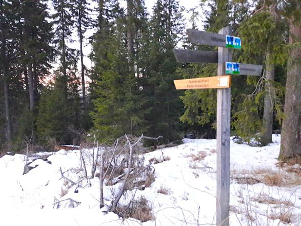 Abzweigung vom Zufahrtsweg zum Kleinen Falkenstein