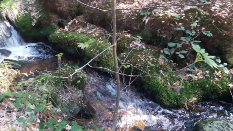 Mühlgrabenweg unter Hirschenstein und Schopf