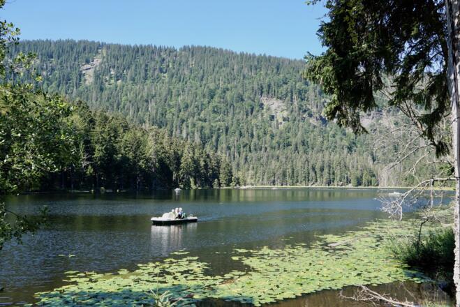 Seewand (400 m hoch) vom Ost-Seeufer