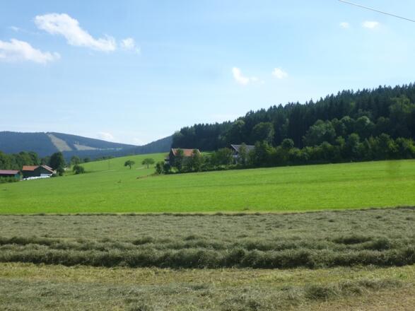 Blick zum Predigtstuhl Nähe Münchshöfen