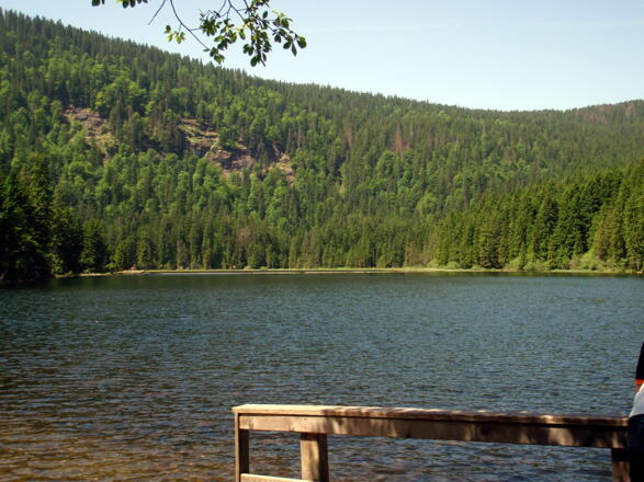 Wieder am Arbersee 935m