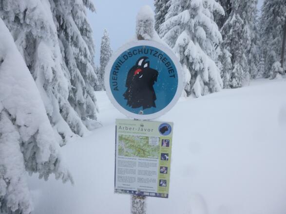 Auerhahnschutzgebiets-Hinweis