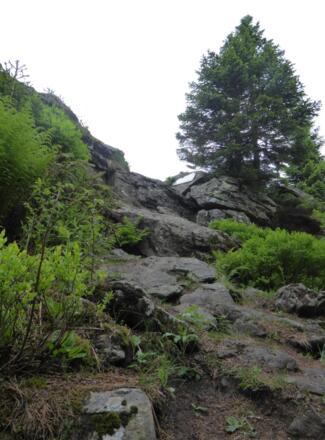 Aufstieg zum Kleinen Arber