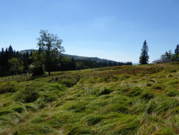 Weg durch den Jährlingsschachten