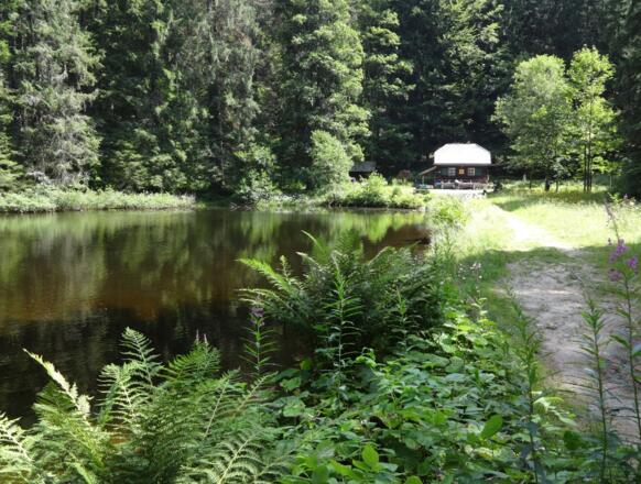 Schwellhäusl am Höllbach