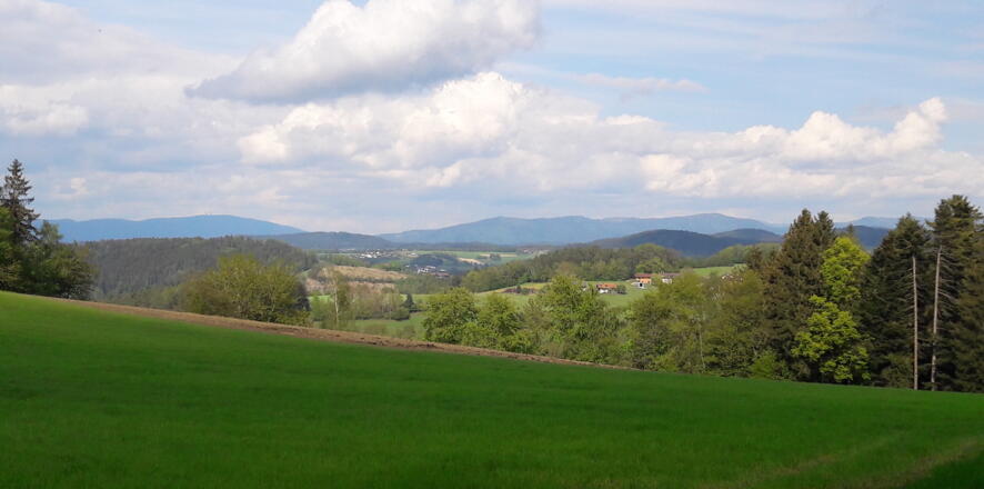 Blick nach Osten vom Weg nach Streifenau über den Rattenberger Steinbruch zum Hohen Bogen bis Ödriegel