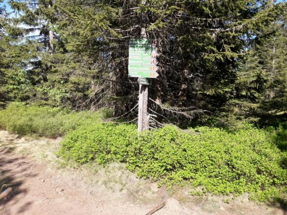 Am Höhenrücken - rechts gehts zum Mittagsplatzl