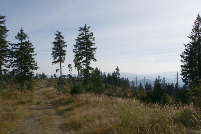 Abfahrt zur Auerhahnstraße