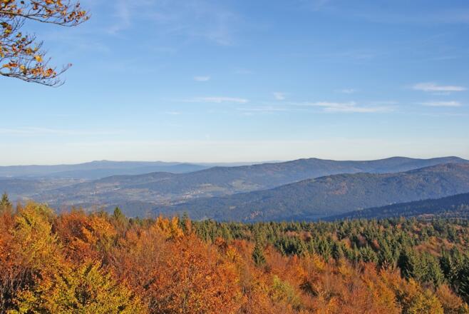 Aussicht vom Hirschenstein zum Rachel