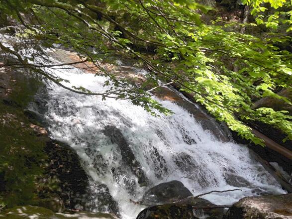 Mittelteil der Wasserfälle