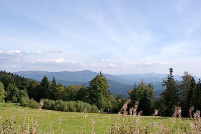 Blick von Brennes zum Großen Falkenstein und Rachel