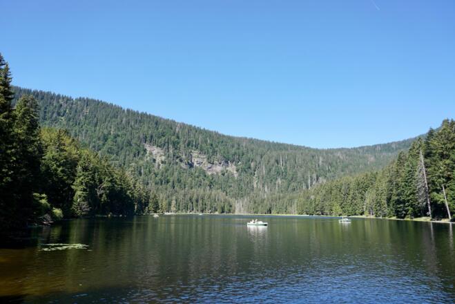 Seewand (400 m hoch) vom Süd-Ost-Seeufer