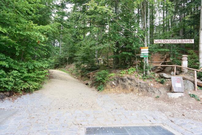 Auffahrt vom Nordufer des Großen Arbersee