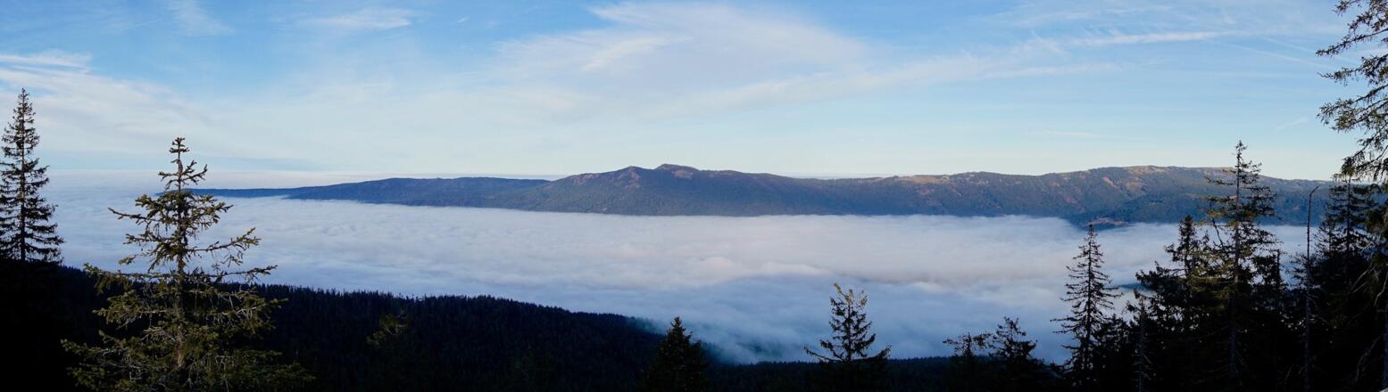 Blick zum Grenzkamm vom Osser bis zum Zwercheck
