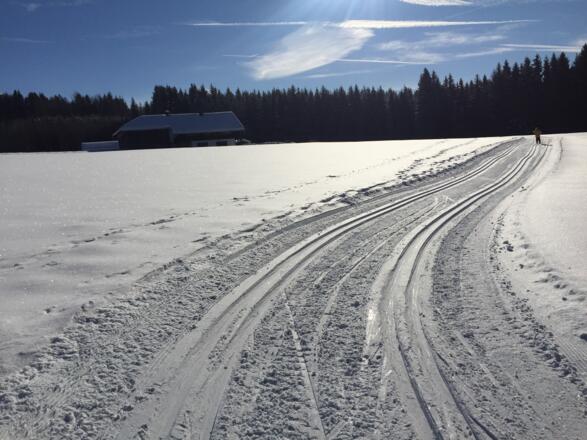 Loipe über die Wiesen