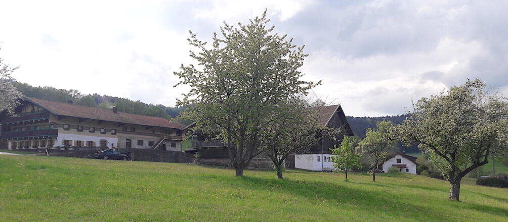 Bauernhof vor Kriseszell