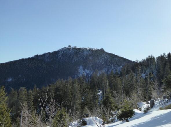 Blick hinauf auf den Großen Arber