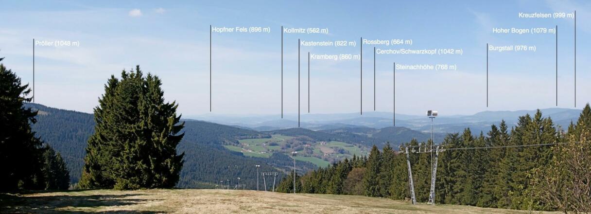 Panorama vom Predigtstuhl nach Norden