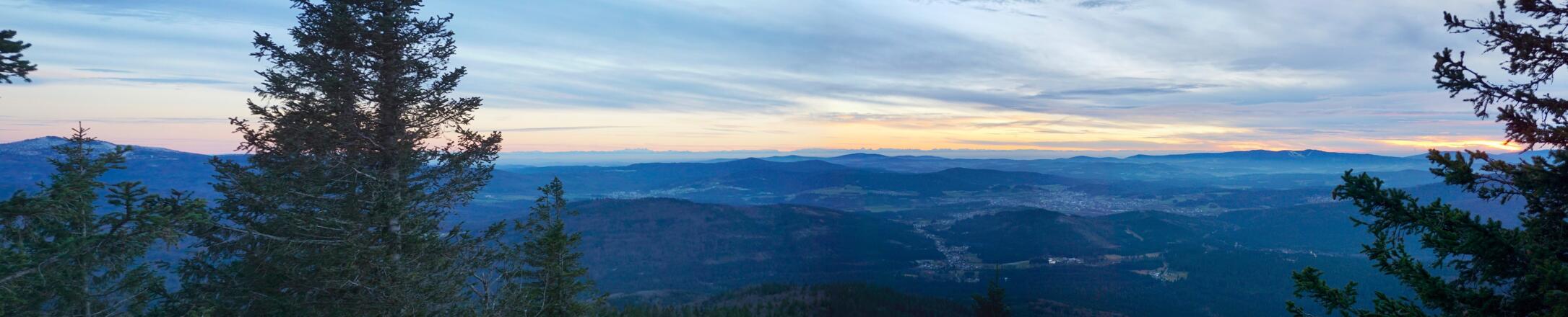 Panorama vom Falkenstein-Gipfelkreuz