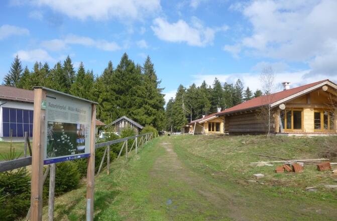 Am Beginn beim Kletterwaldparkplatz