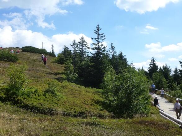 Blick zum Großen Arber