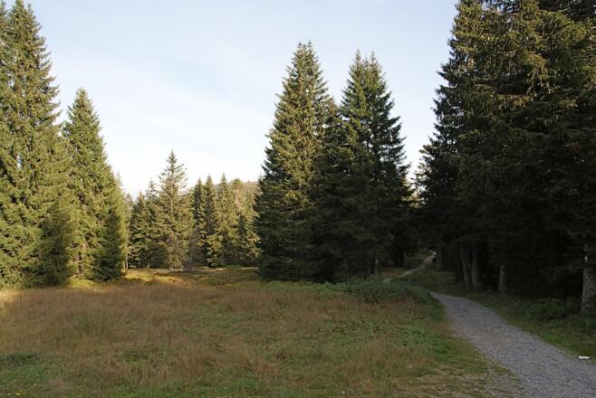 Abfahrt nach der Chamer Hütte