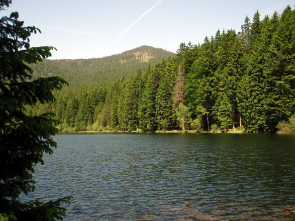 Arbersee 935m, Start- und Endpunkt