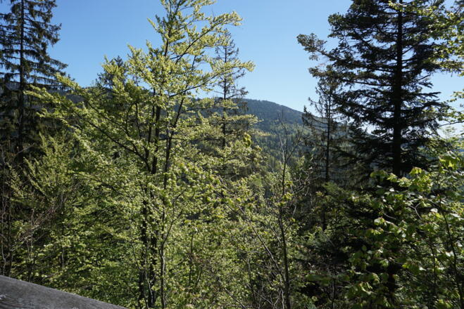Hochzellberg von der Arberhochstraße