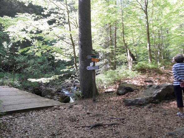 Nach der Brücke geht es auf der rechten Bachseite weiter