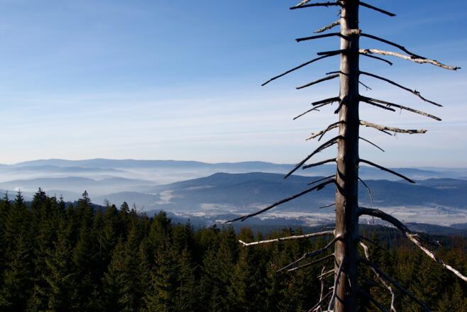 Aussicht am Weg zum Waldwiesmarterl