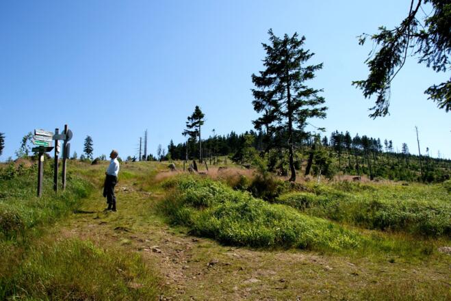 Weg zum Reischflecksattel mit Heugstatt